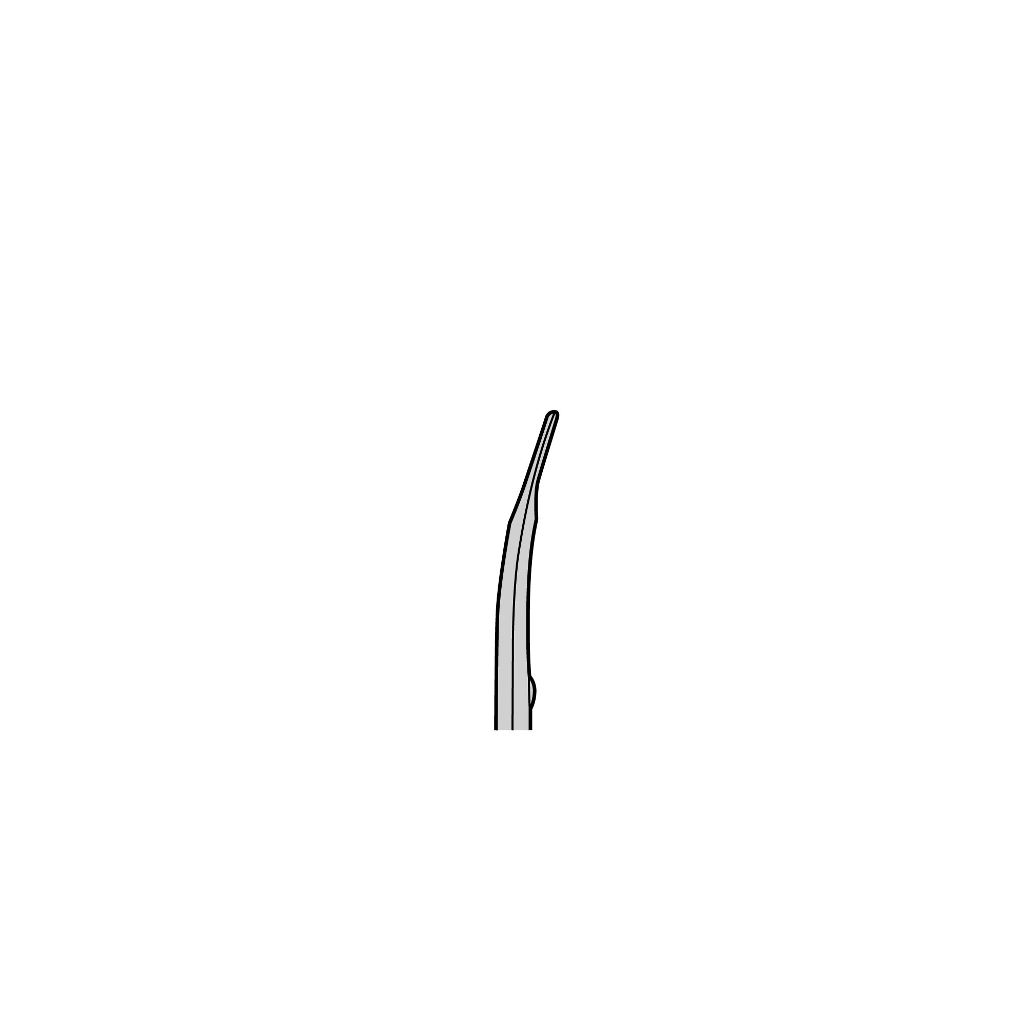 Shea Scissors | 14105-12