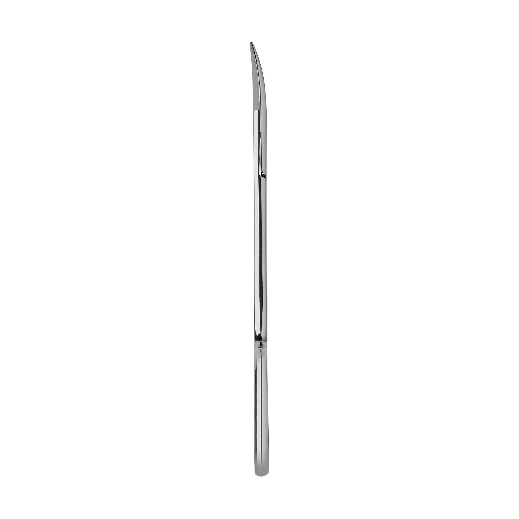 Bonn Scissors - Highly Polished | 14185-09