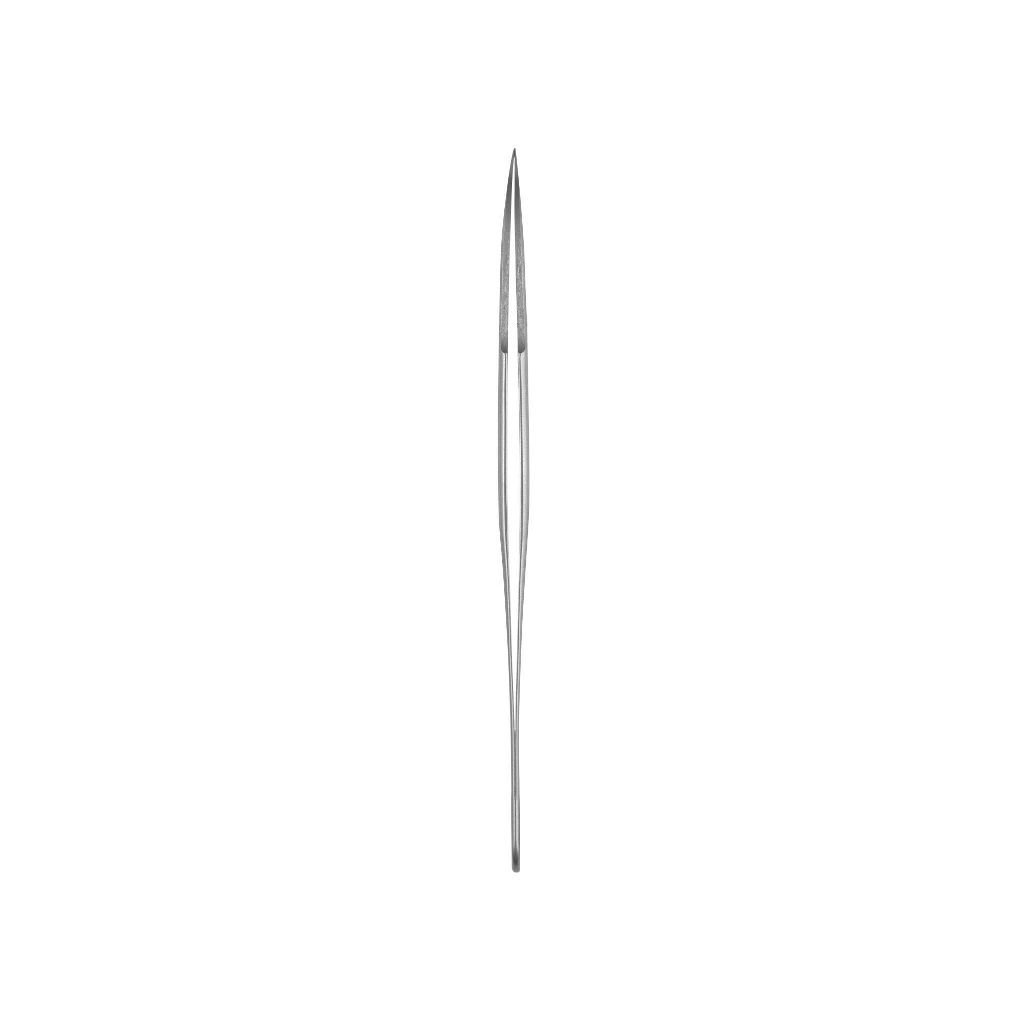 #2A Forceps | 11972-20