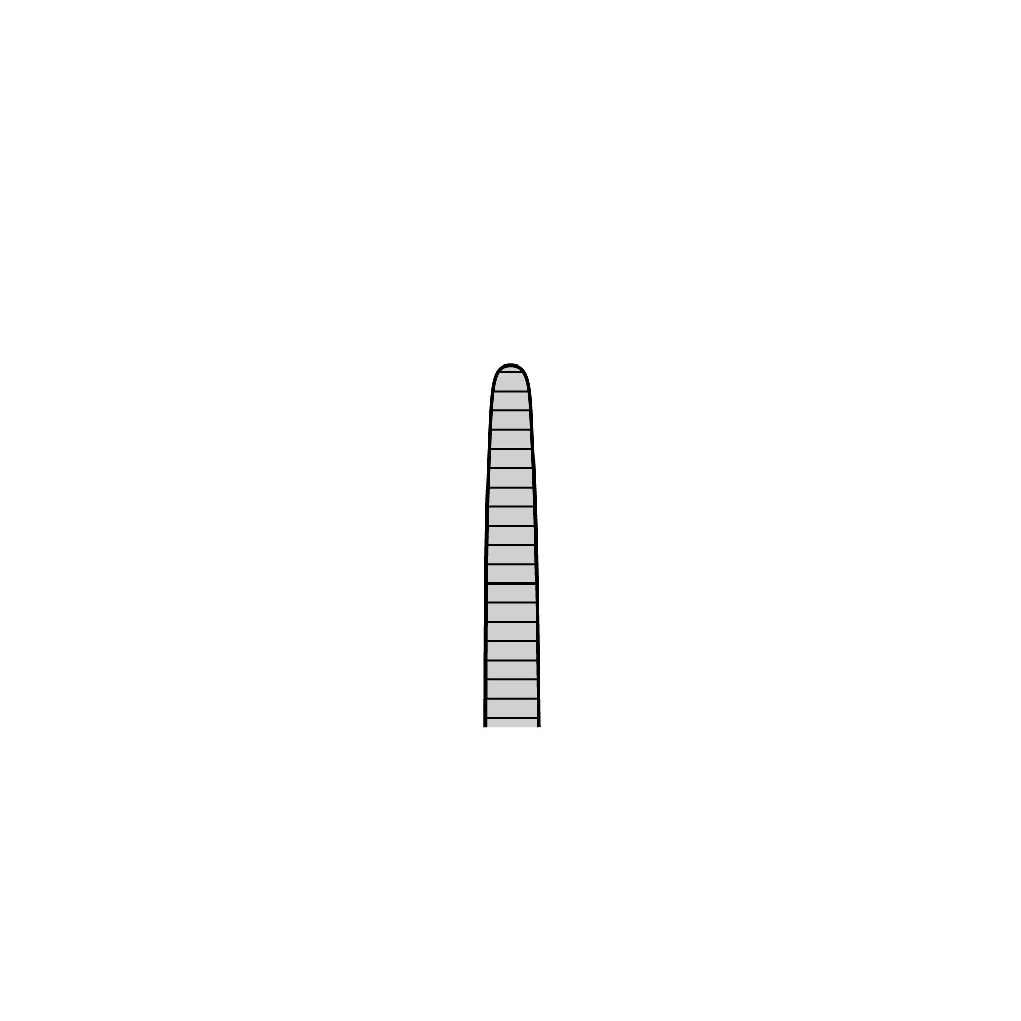 Student Semken Forceps | 91108-14