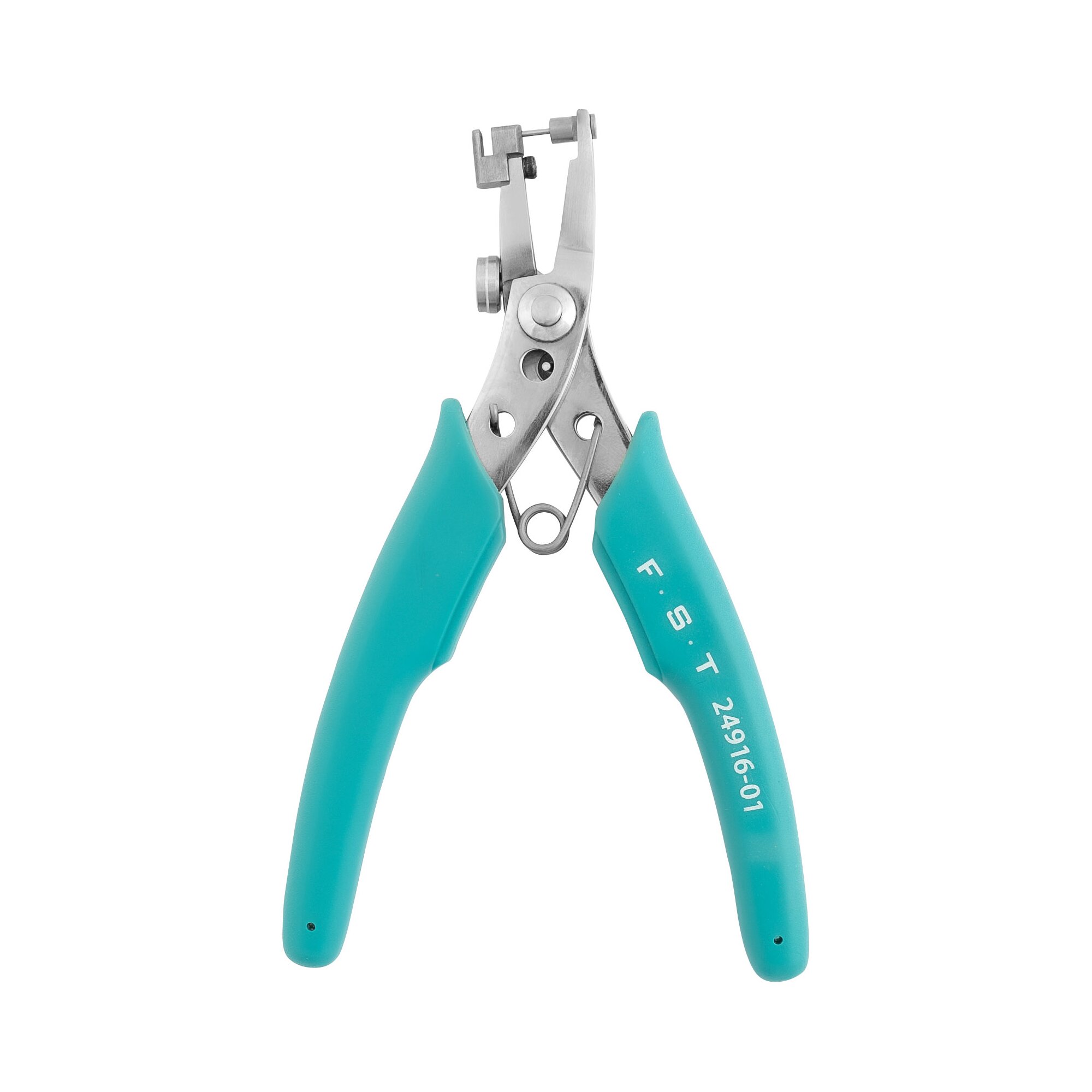 Blue Ear Punch | 24916-01