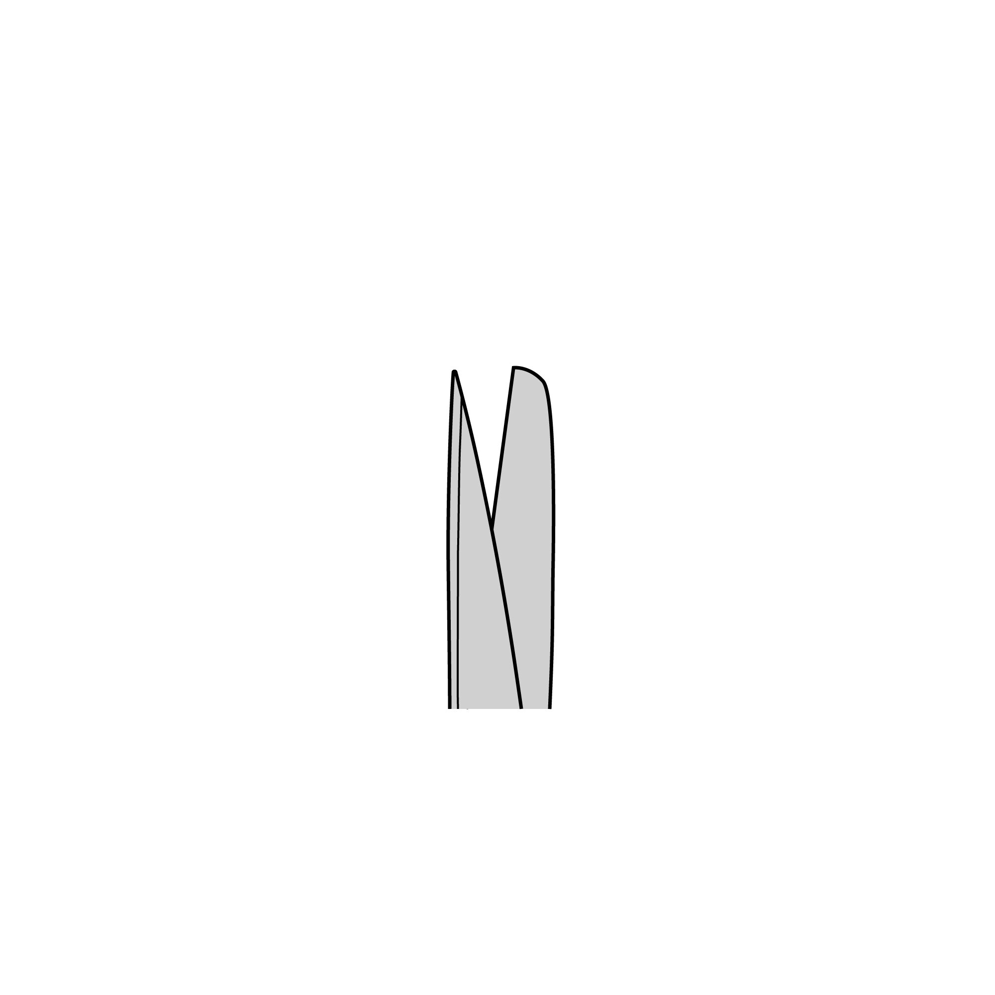 Standard Surgical Scissors - Serrated | 14007-14