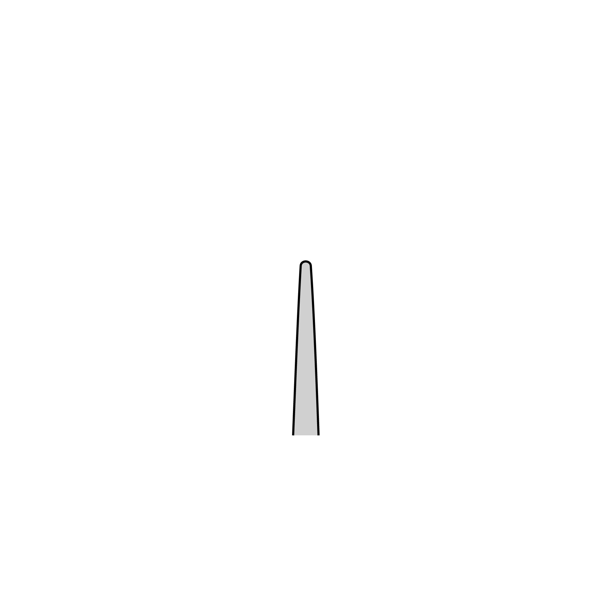 Slide Lock Forceps | 11062-10