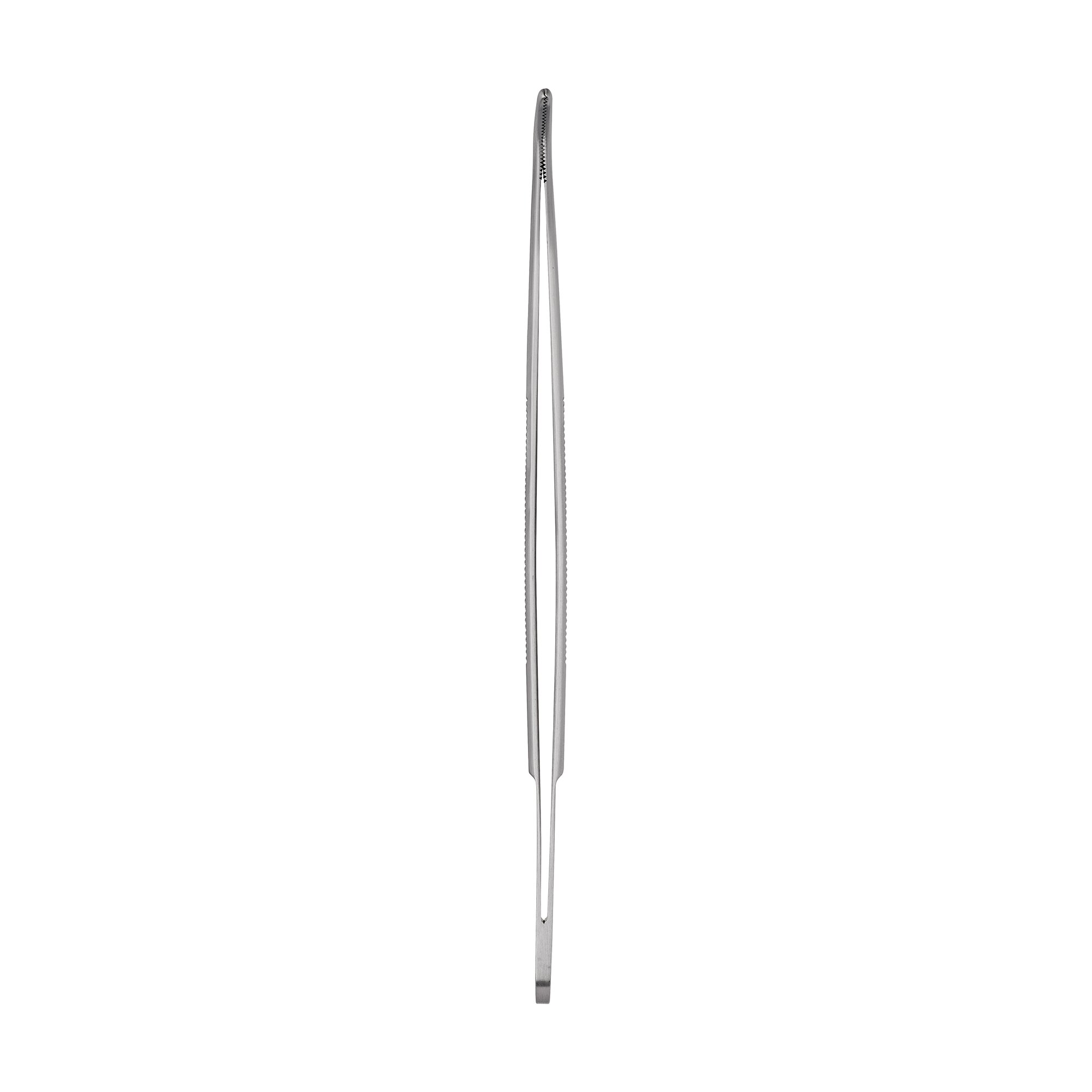 Anatomical Standard Forceps - Curved | 11001-20