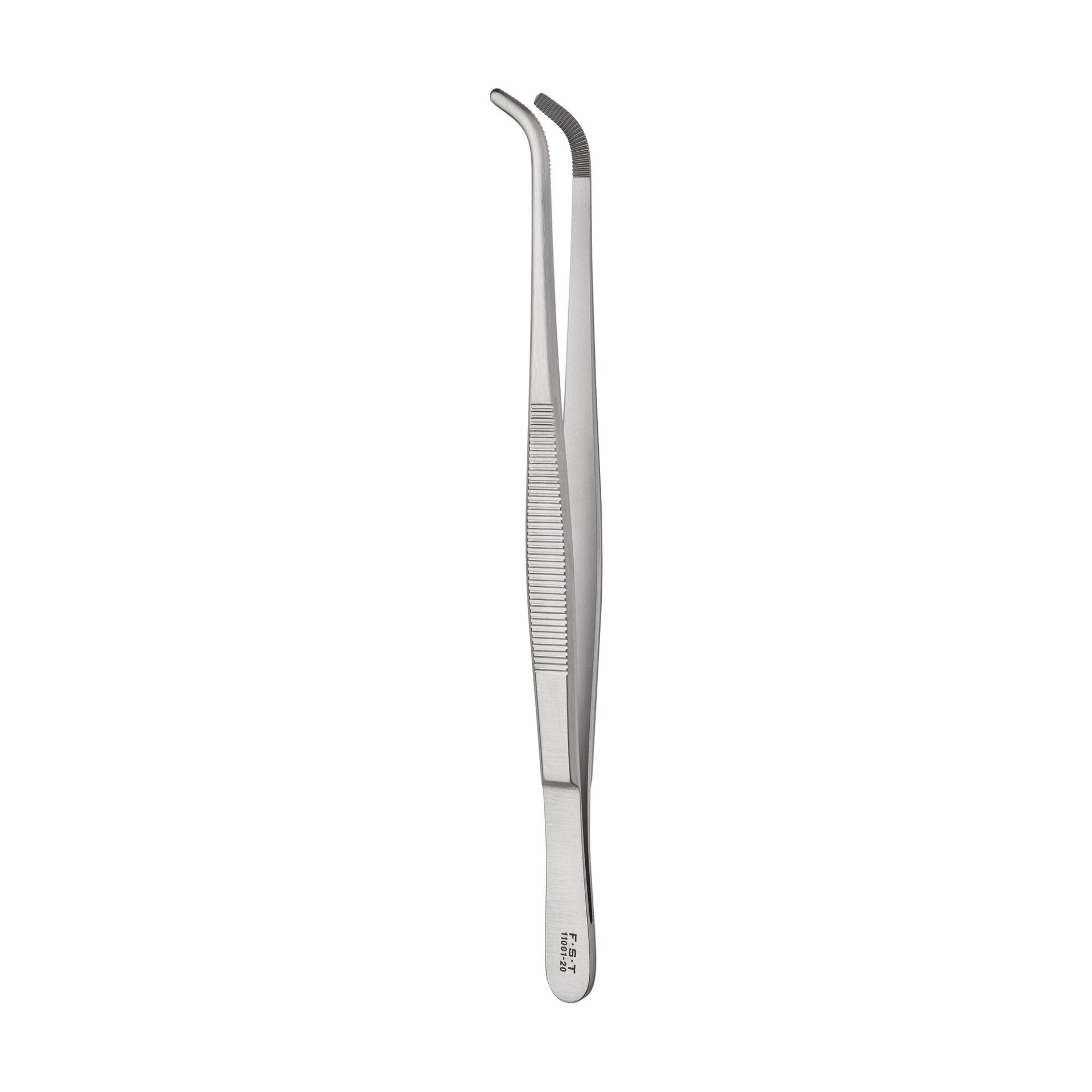 11001-20 | Anatomical Standard Forceps - Curved | FST